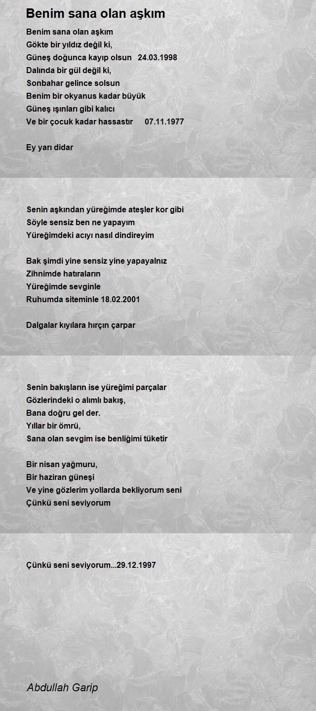 Abdullah Garip