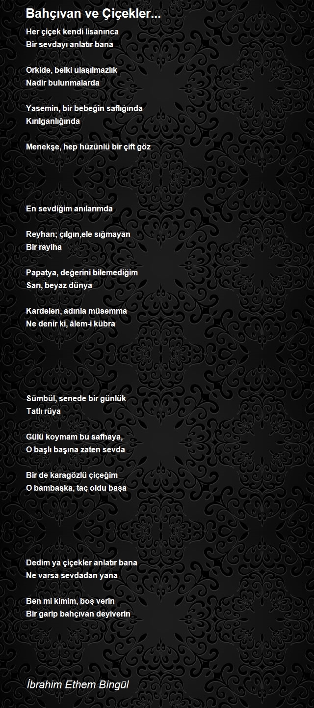 İbrahim Ethem Bingül