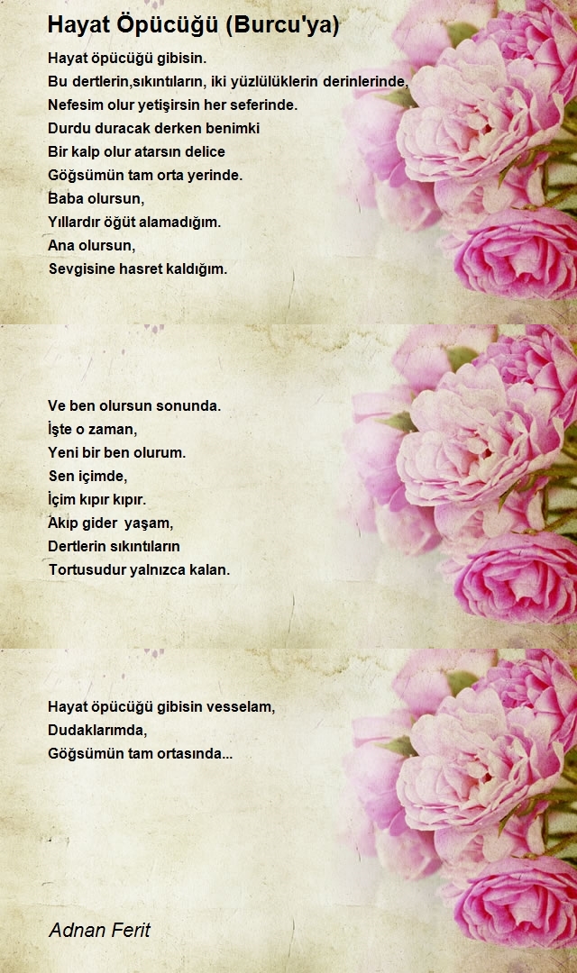 Adnan Ferit