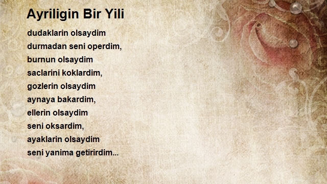 Engin Murat Reis