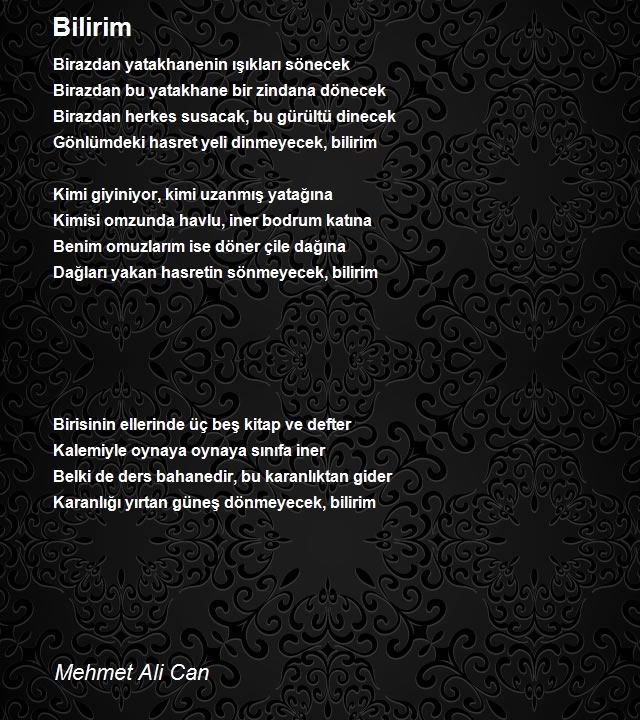 Mehmet Ali Can