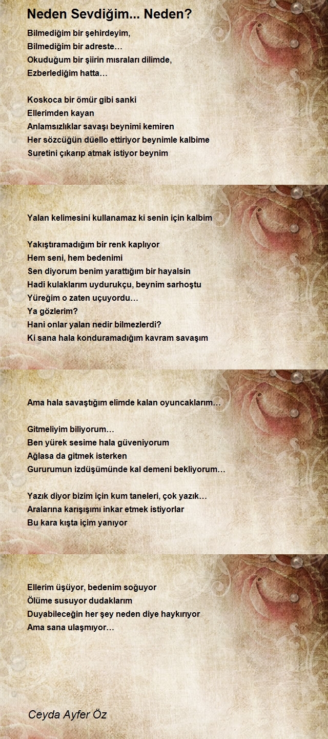 Ceyda Ayfer Öz