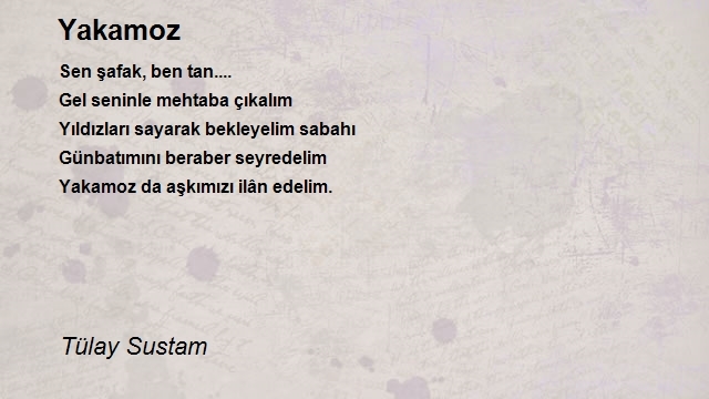 Tülay Sustam