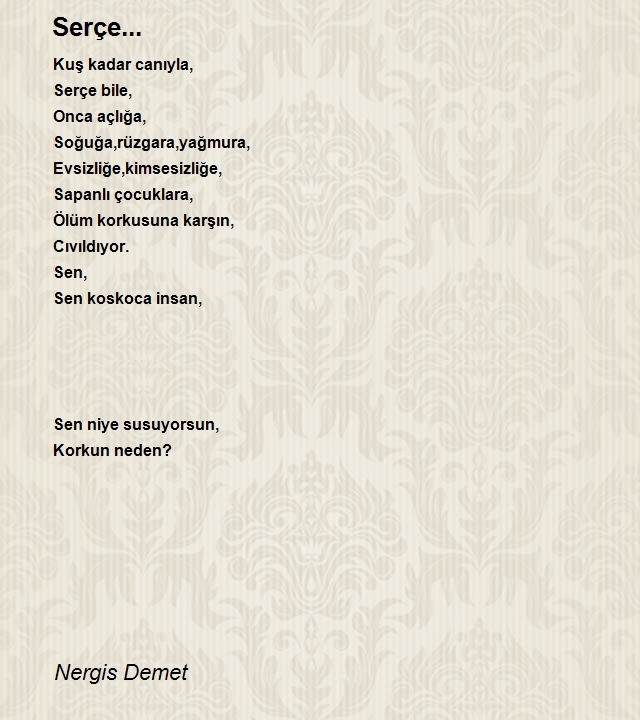 Nergis Demet