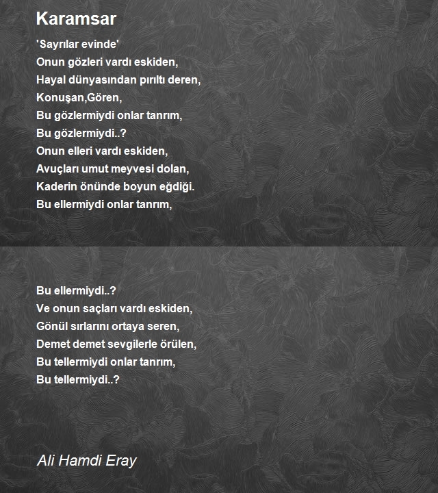 Ali Hamdi Eray