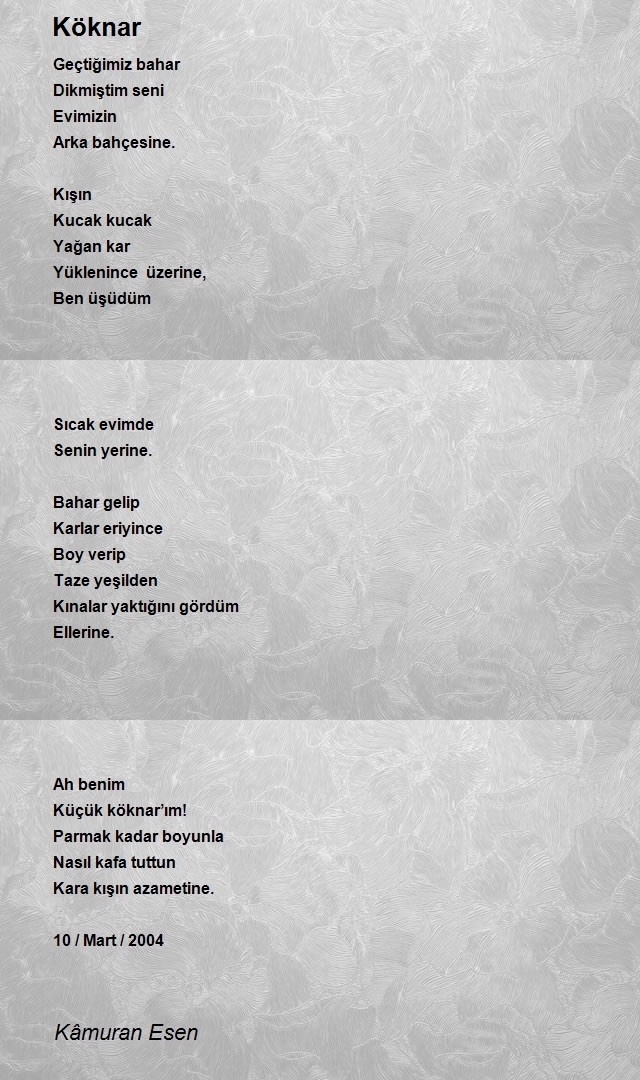 Kâmuran Esen