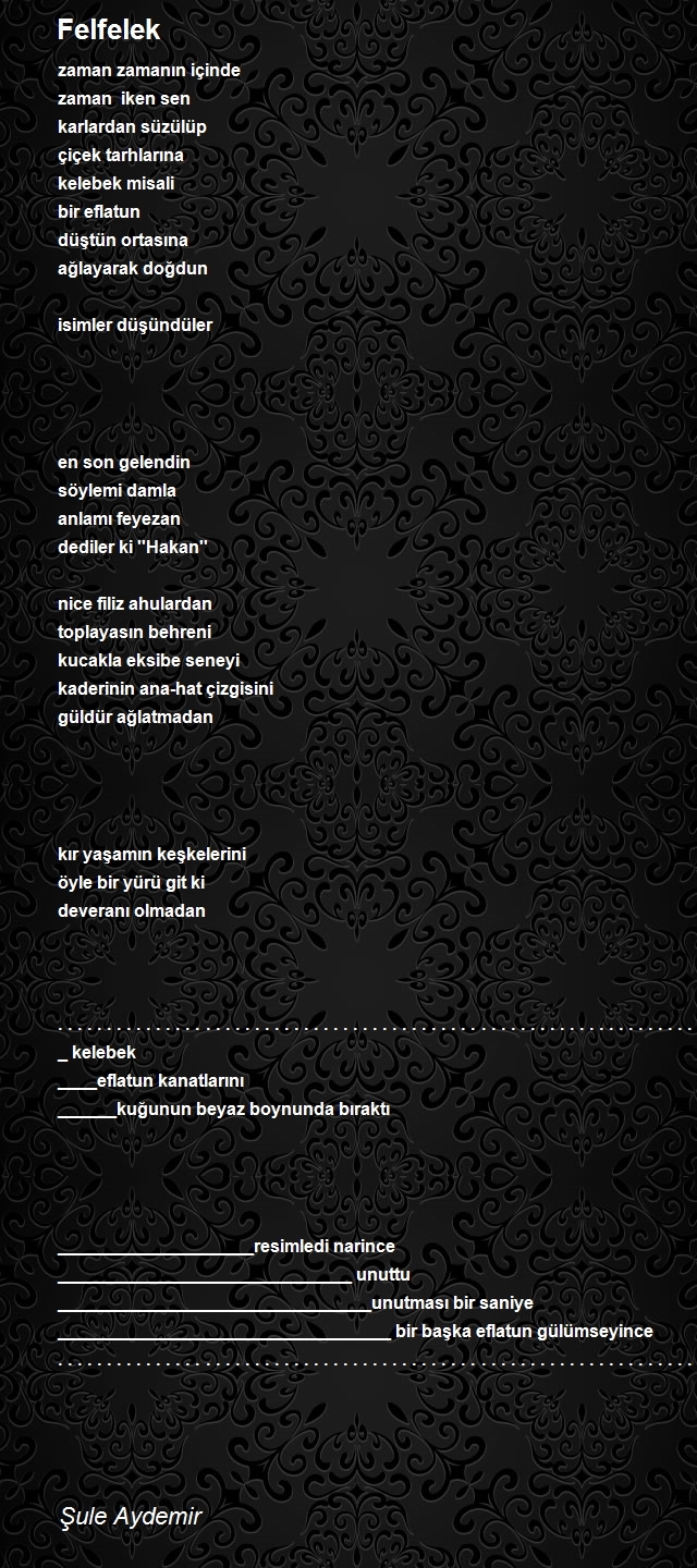 Şule Aydemir