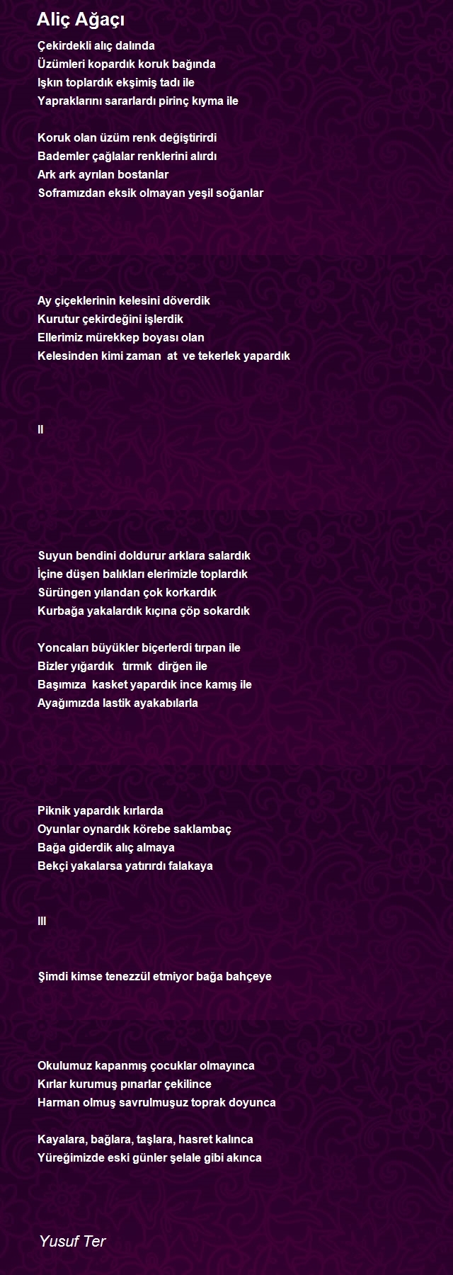 Yusuf Ter