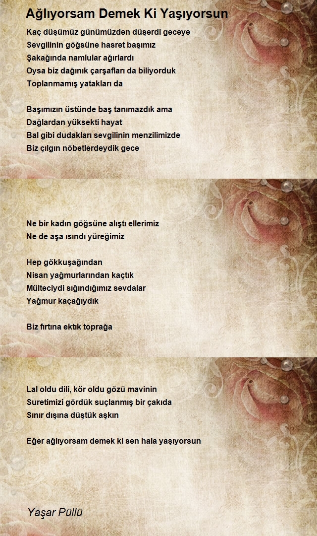 Yaşar Püllü