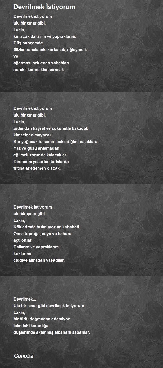 Şair Cunoba