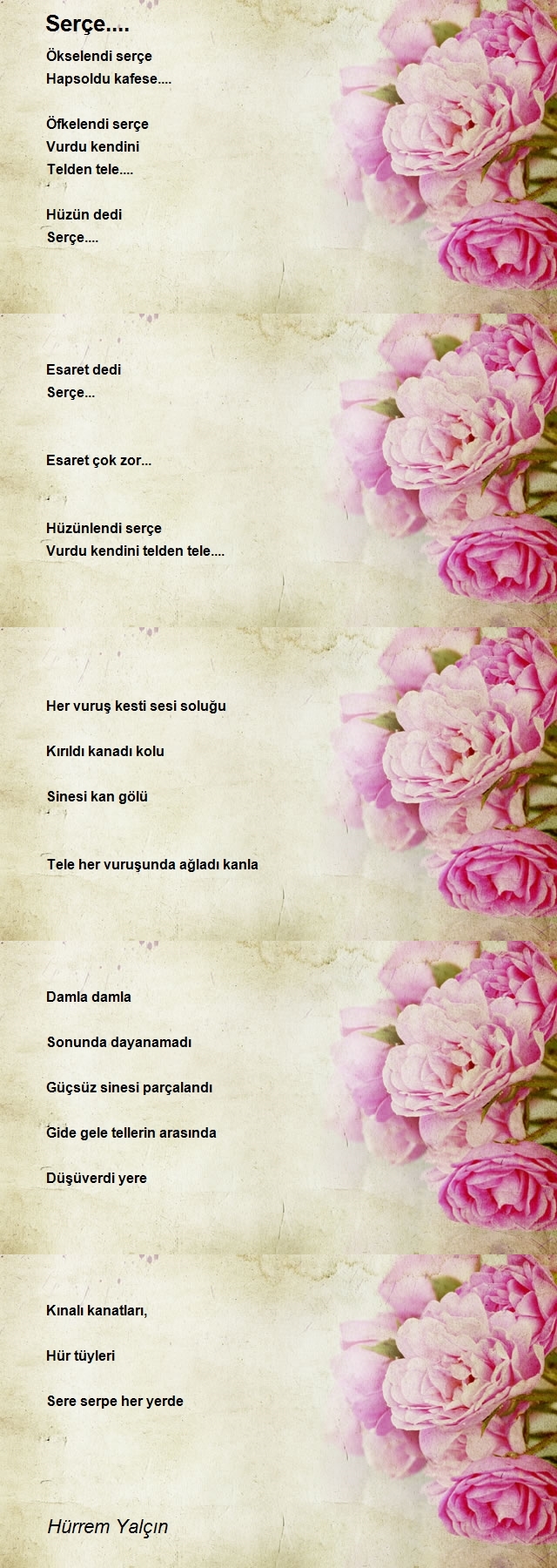 Hürrem Yalçın