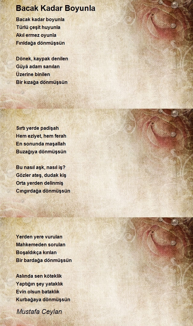 Mustafa Ceylan