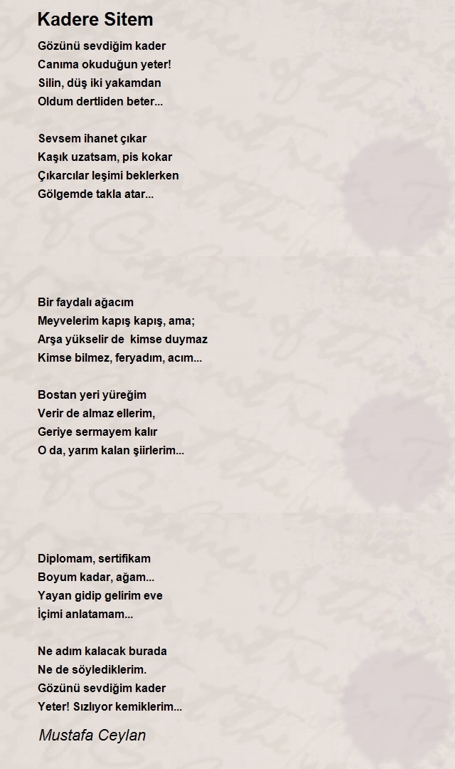 Mustafa Ceylan