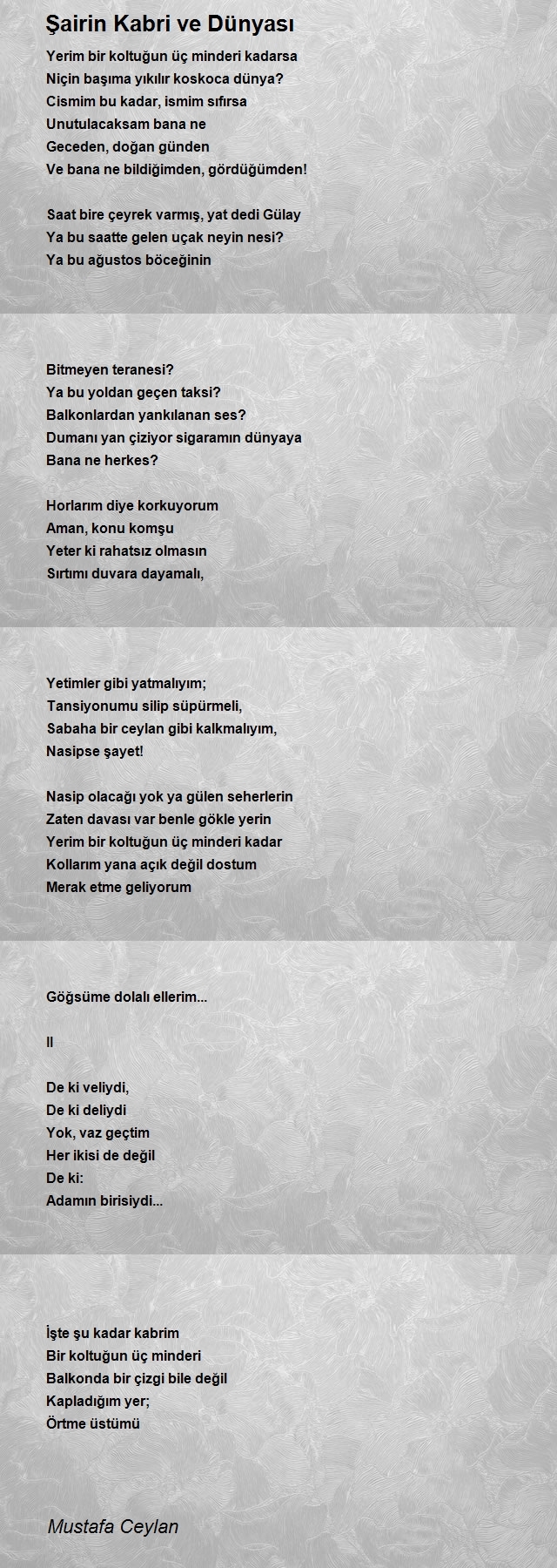 Mustafa Ceylan