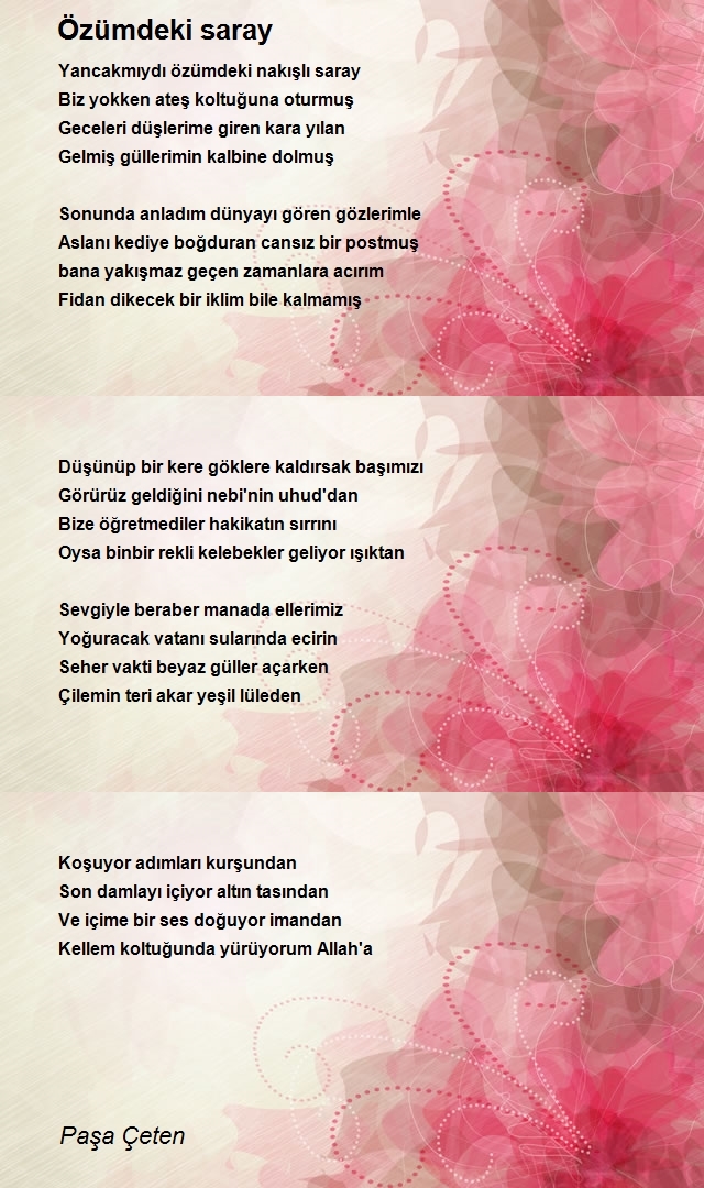 Paşa Çeten