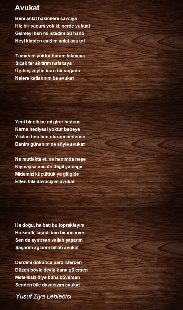Yusuf Ziya Leblebici