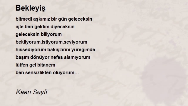 Kaan Seyfi