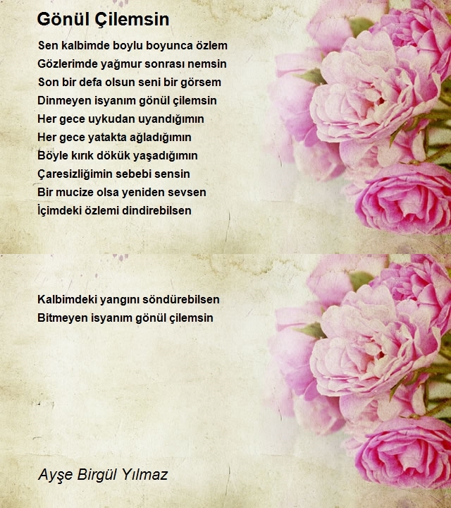 Ayşe Birgül Yılmaz