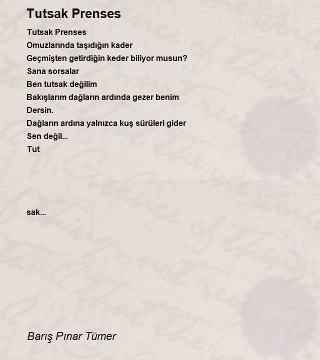 Barış Pınar Tümer