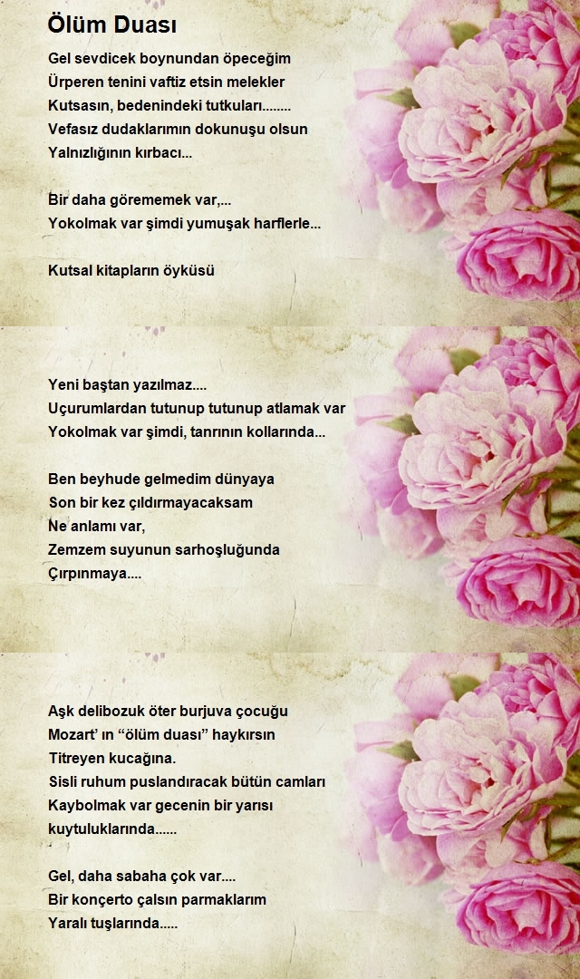 Canan Üçer