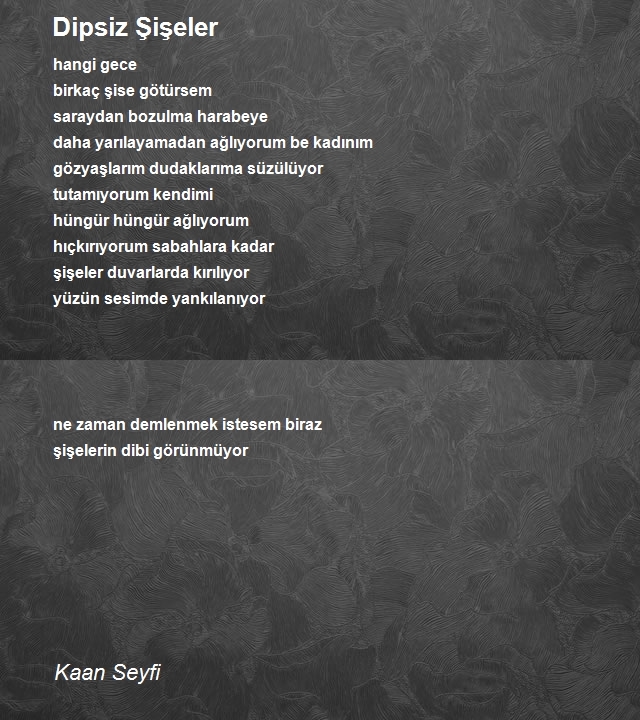 Kaan Seyfi