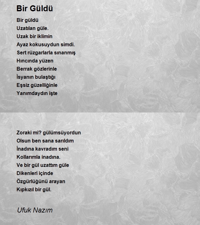 Ufuk Nazım
