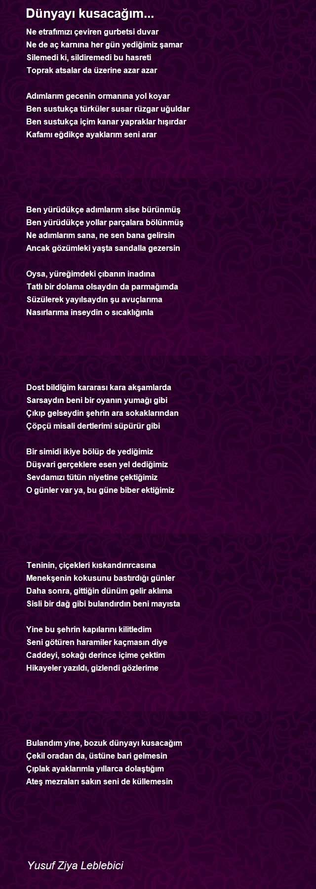 Yusuf Ziya Leblebici