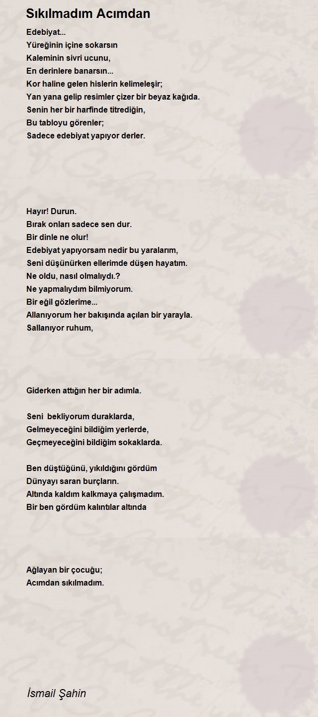 İsmail Şahin