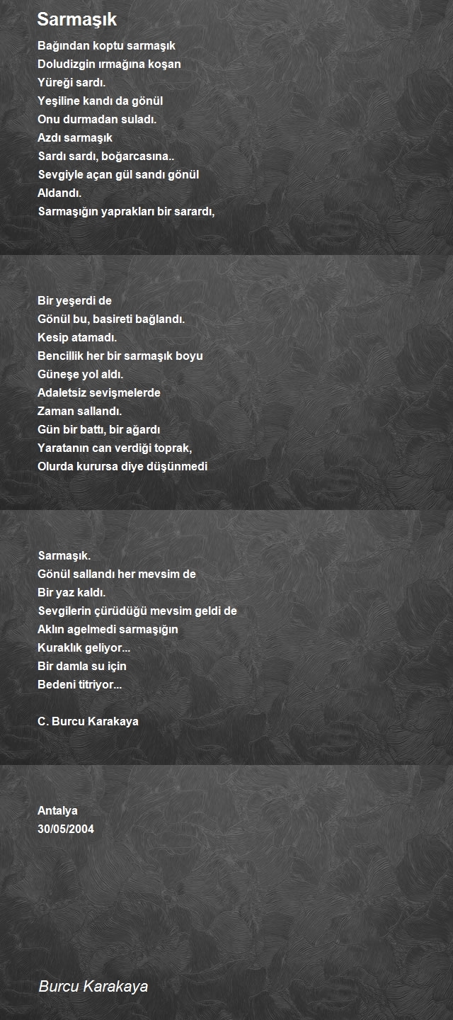 Burcu Karakaya