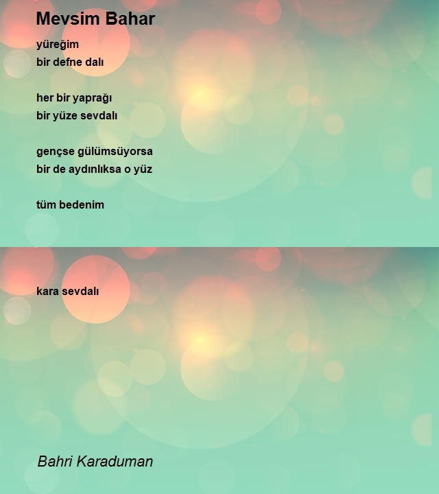 Bahri Karaduman