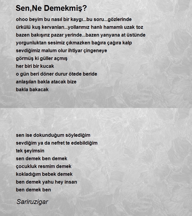 Şair Sariruzigar