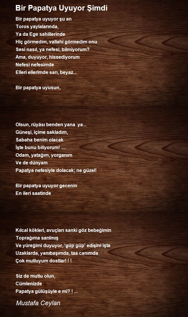 Mustafa Ceylan