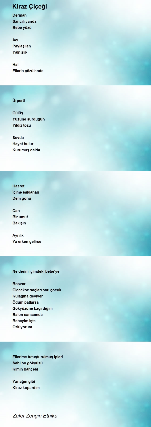 Zafer Zengin Etnika