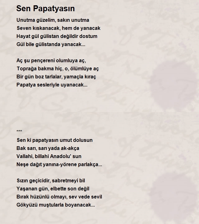 Mustafa Ceylan