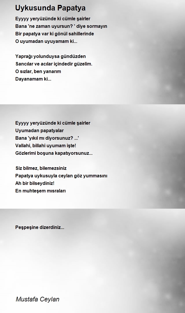 Mustafa Ceylan