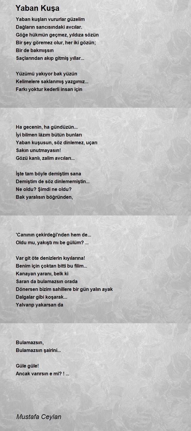 Mustafa Ceylan
