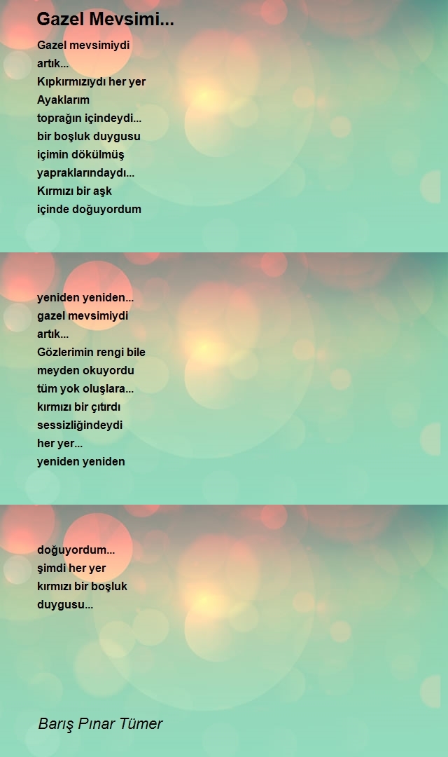 Barış Pınar Tümer