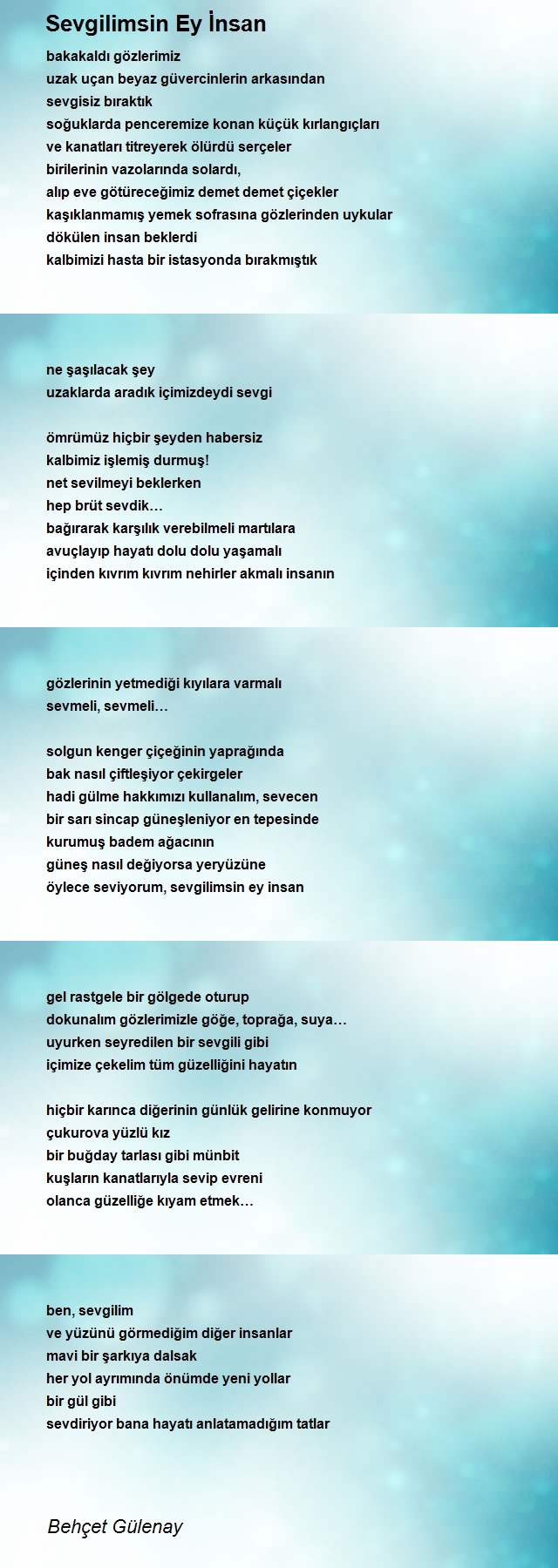 Behçet Gülenay