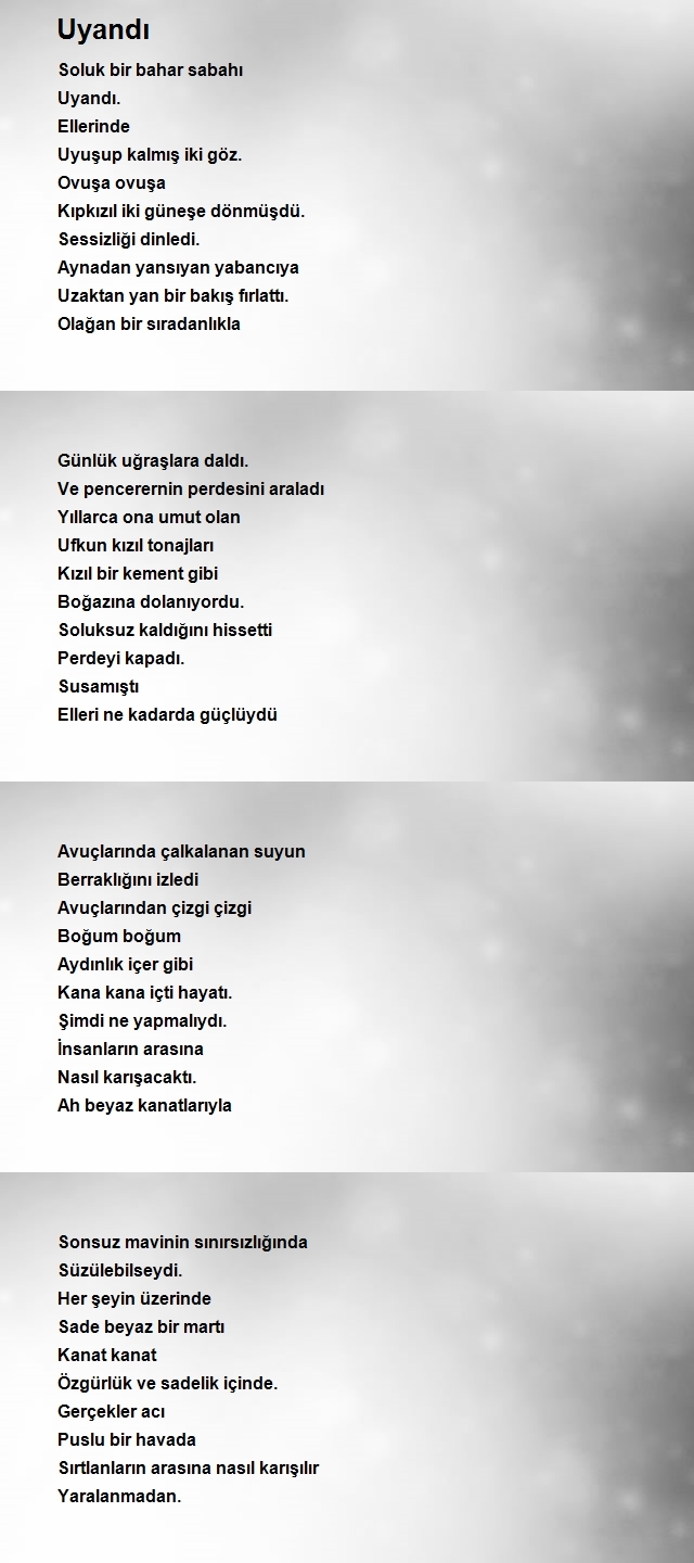 Ufuk Nazım
