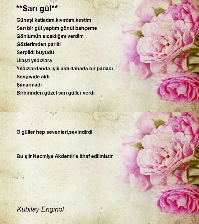 Kubilay Enginol