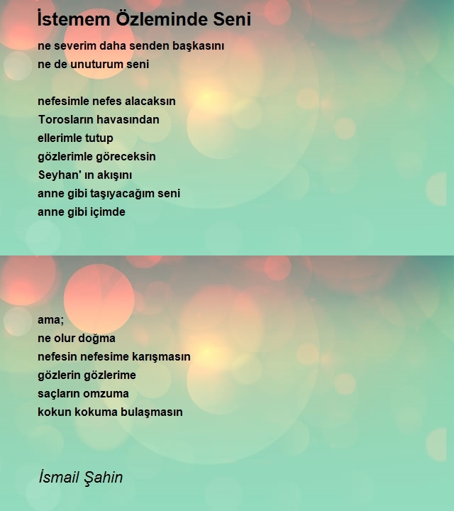 İsmail Şahin