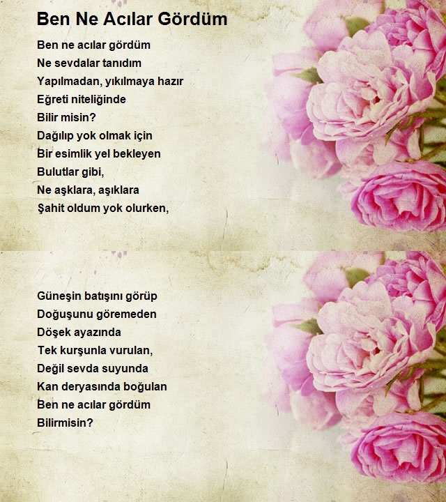 Murat Demir