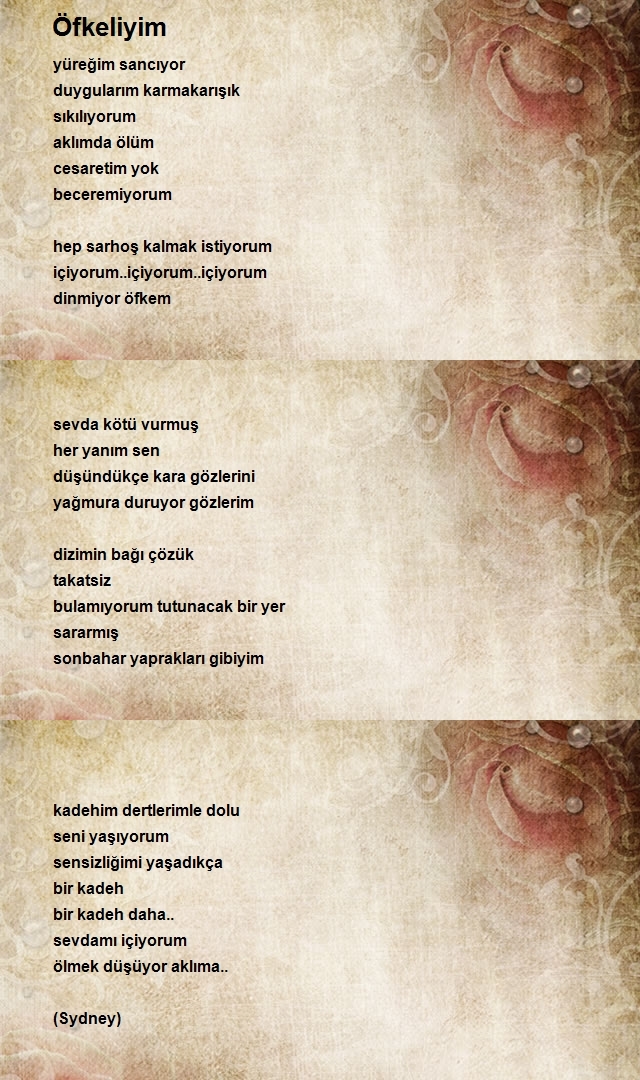 Yılmaz Boğa