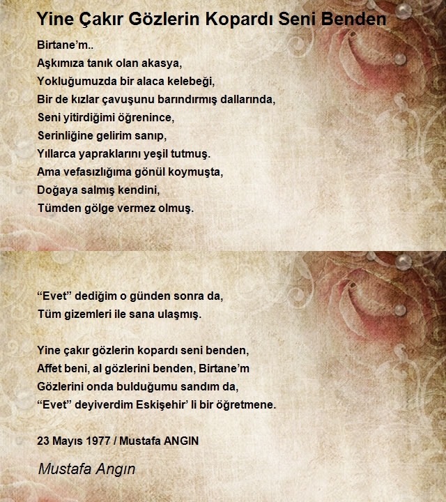 Mustafa Angın