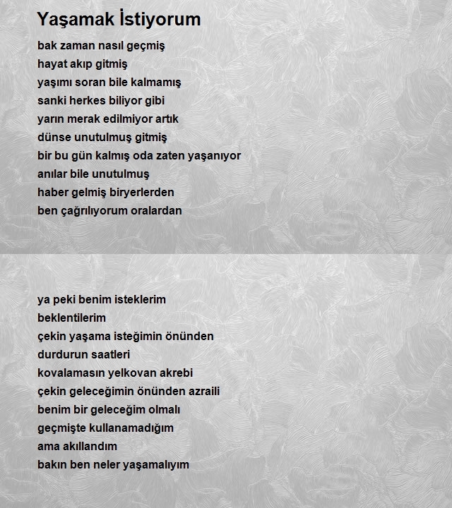Halil İbrahim Turgut