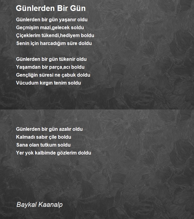 Baykal Kaanalp