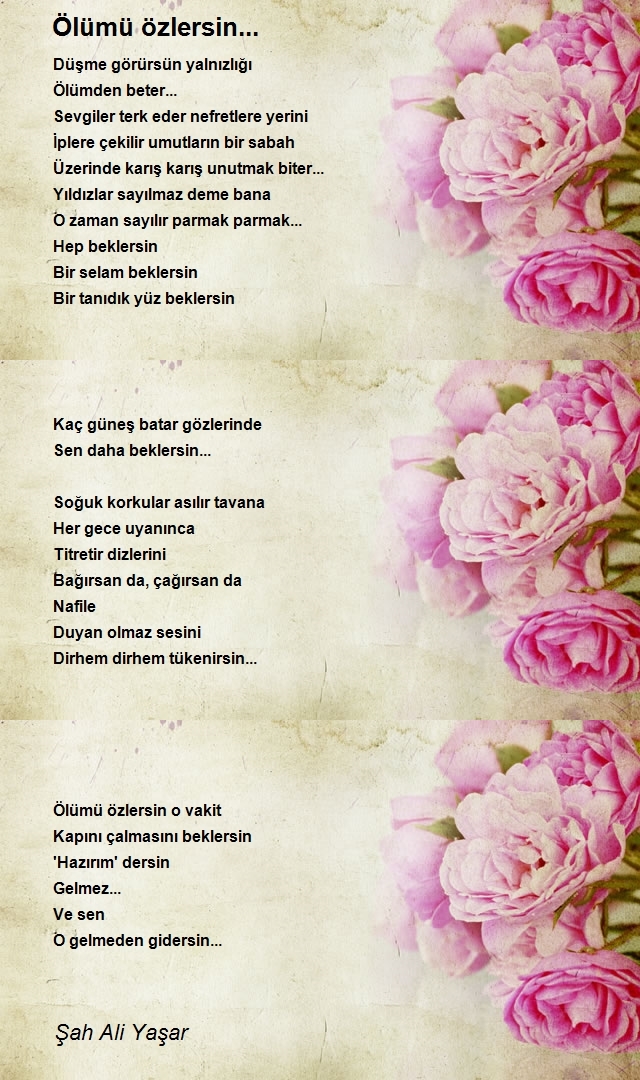 Şah Ali Yaşar