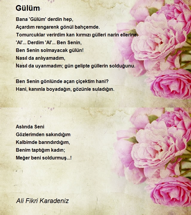 Ali Fikri Karadeniz