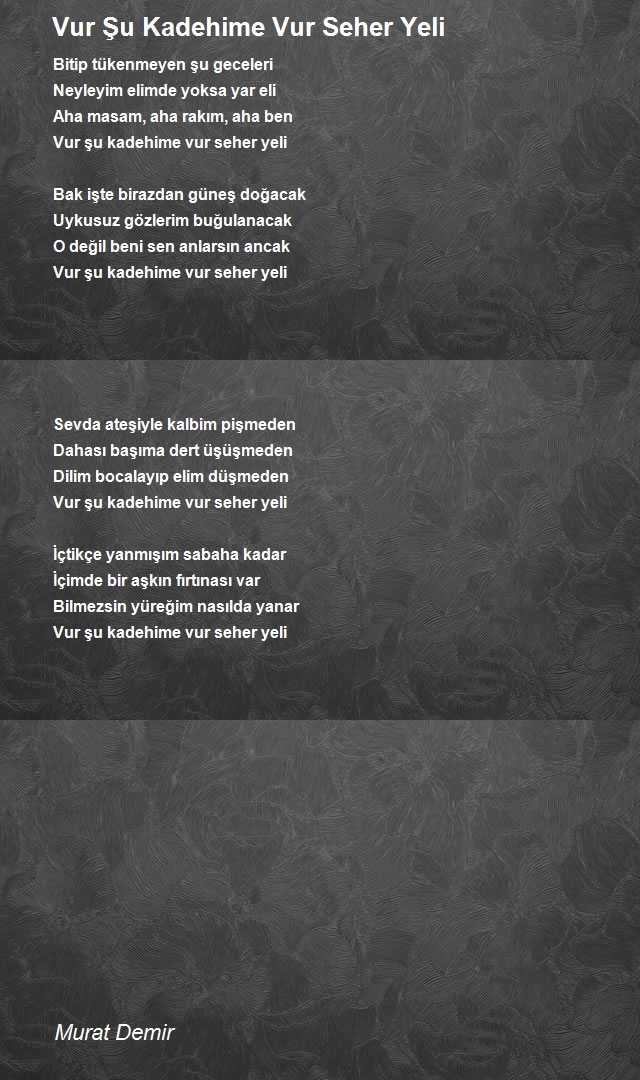 Murat Demir