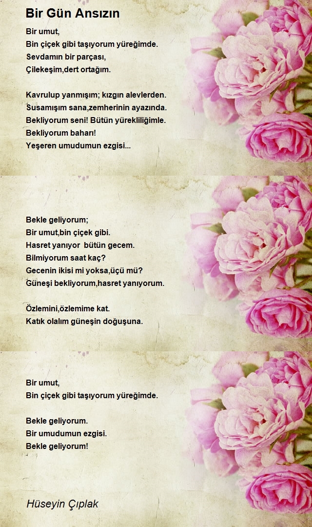 Hüseyin Çıplak